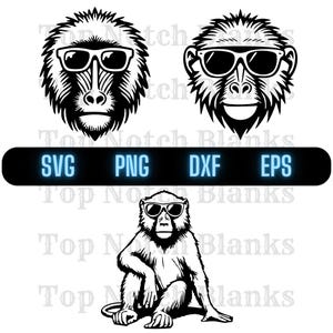 Baboon With Sunglasses Svg Baboon Wearing Sunglasses Png Baboon With Glasses Clipart Baboon Vector Bundle Pack Commercial Use