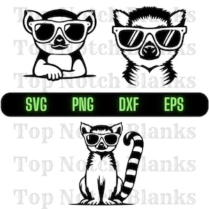 Lemur mit Sonnenbrille SVG Lemur mit Brille Png Lemur mit Brille Clipart Lemur Vektor-Bundle-Pack Kommerzielle Nutzung