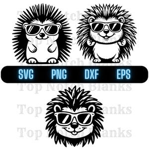 Stachelschwein trägt Sonnenbrillen svg Stachelschwein mit Brille Png Stachelschwein mit Brille Clipart Stachelschwein Vektor Bundle-Pack kommerzielle Nutzung