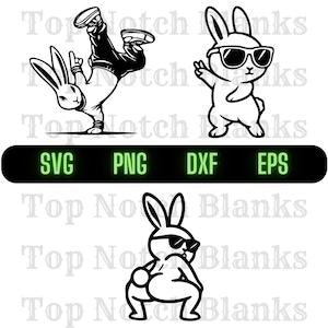 Lapin dansant avec des lunettes de soleil Svg lapin danse Png danse lapin Clipart lapin vecteur Bundle Pack usage commercial
