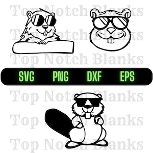 Beaver met bril Svg Beaver dragen zonnebril Png Beaver met bril Clipart Beaver Vector bundel Pack commercieel gebruik