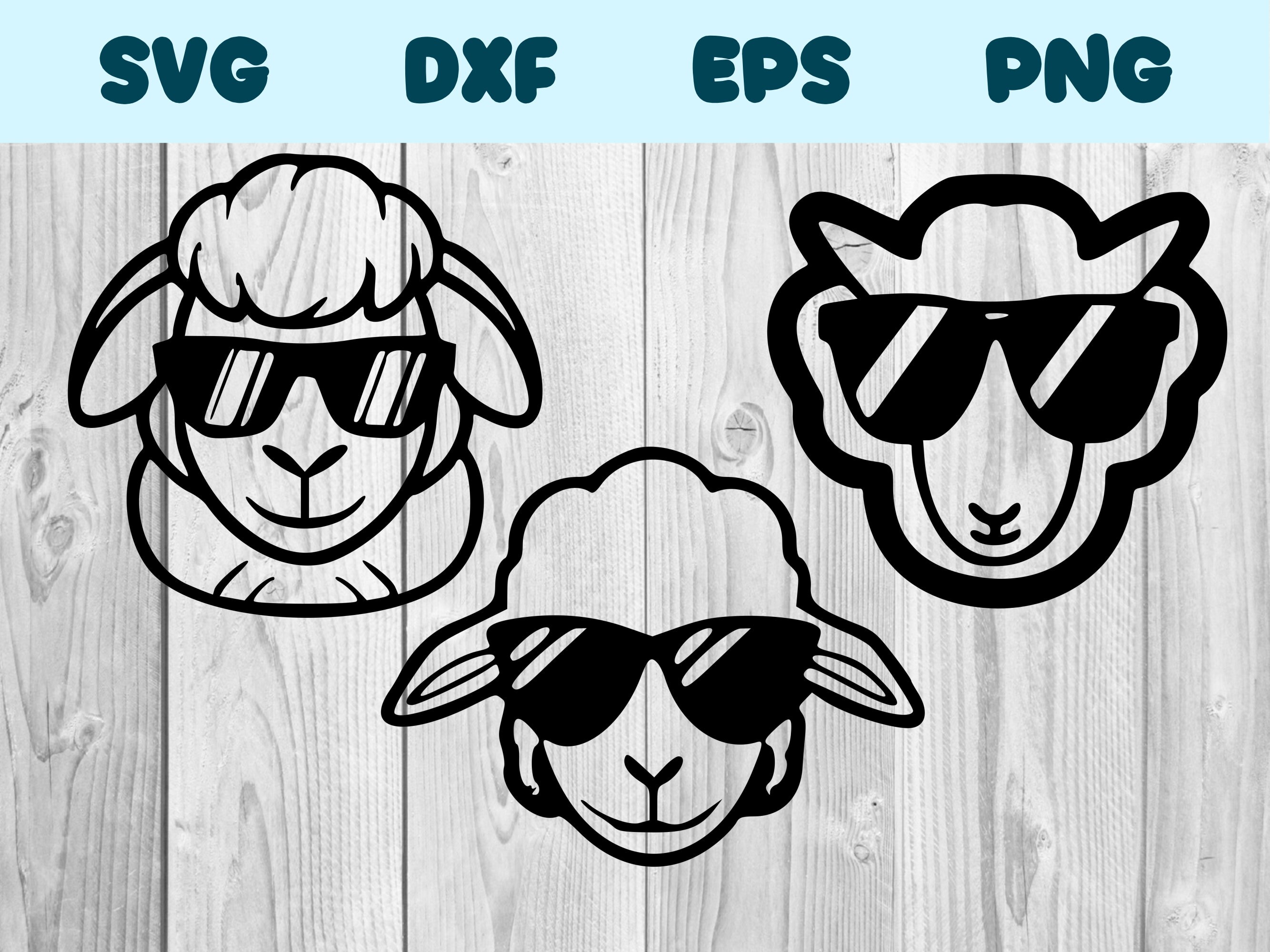 Lamb Wearing Sunglasses Svg Lamb Png Lamb Clipart Lamb Vector Etsy