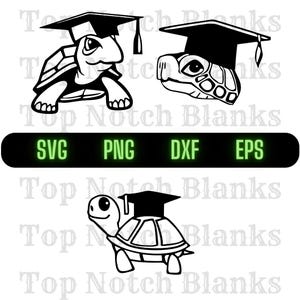 Schildkröte trägt eine Gradutaion-Cap-Schildkröte mit einer Graduierung-Cap-Png-Schildkröte graduiert Clipart Schildkröte graduiert Vektor-Bundle-Pack Kommerzielle Nutzung