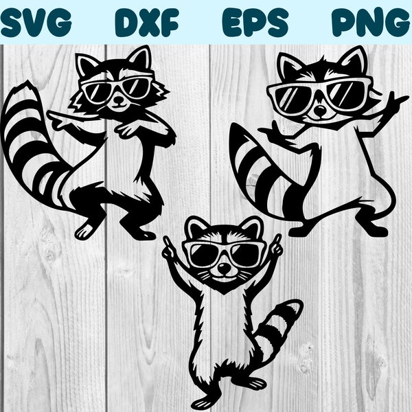 Racoon Dancing With Sunglasses Svg Racoon Dance Png Dancing Racoon Clipart Racoon Vector Bundle Pack Commercial Use