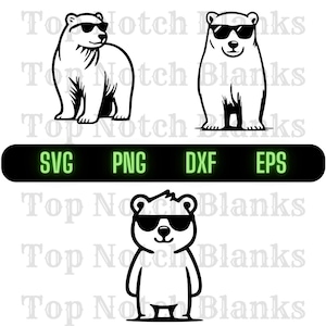 Polar Bear Wearing Sunglasses Svg Polar Bear Png Polar Bear Clipart Polar Bear Vector Bundle Pack #2 Commercial Use