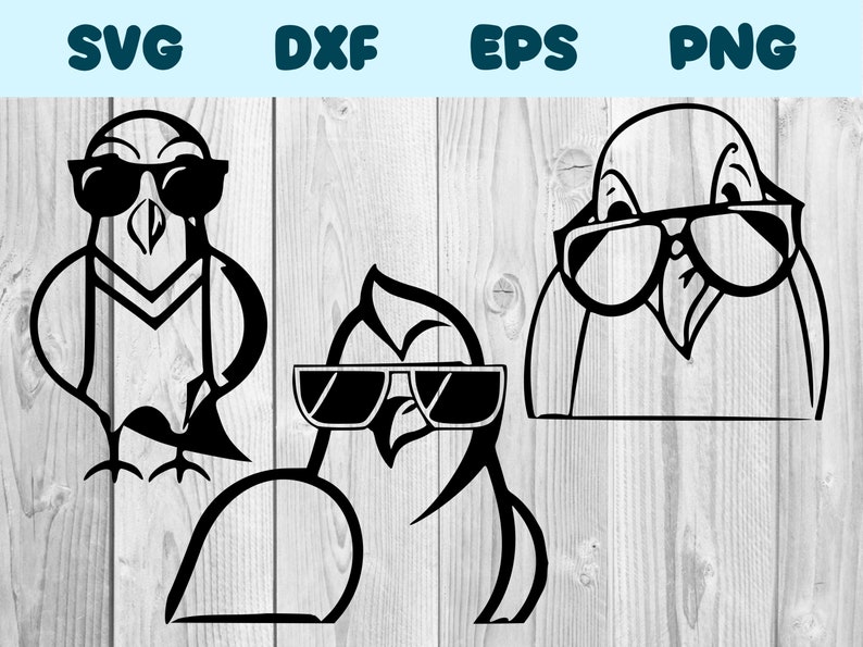 Pigeon Wearing Sunglasses Svg Pigeon Png Pigeon Clipart Pigeon - Etsy