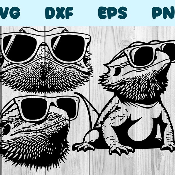 Bearded Dragon With Sunglasses Svg Bearded Dragon Png Bearded Dragon With Glasses Clipart Bearded Dragon Vector Bundle Pack Commercial Use