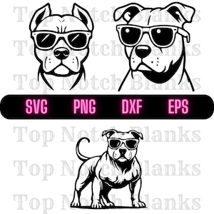 Pitbull with Sunglasses Svg Pitbull With Glasses Png Pitbull Wearing Sunglasses Clipart Pitbull Vector Bundle Pack Commercial Use