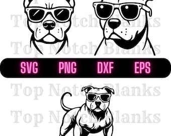 Pitbull with Sunglasses Svg Pitbull With Glasses Png Pitbull Wearing Sunglasses Clipart Pitbull Vector Bundle Pack Commercial Use