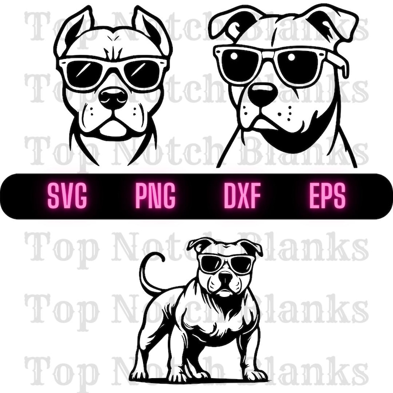 Pitbull With Sunglasses Svg Pitbull With Glasses Png Pitbull Wearing ...