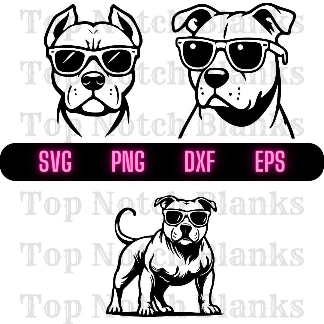 Pitbull With Sunglasses Svg Pitbull With Glasses Png Pitbull Wearing ...