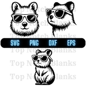 Quokka trägt Sonnenbrillen svg Quokka mit Brille Png Quokka Clipart Quokka Vektor-Bundle-Pack Kommerzielle Nutzung