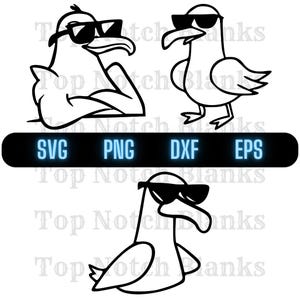 Gabbiano che indossa occhiali da sole Svg Seagull Png Seagull Clipart Seagull Vector Bundle Pack per uso commerciale