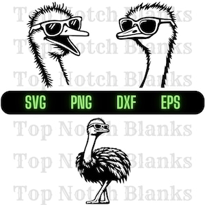 Ostrich Wearing Sunglasses Svg Ostrich With Sunglasses Png Cool Ostrich Clipart Ostrich Vector Bundle Pack Commercial Use