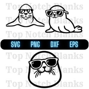 Seal Usando Óculos De Sol Svg Seal Png Seal Clipart Seal Vector Bundle Pack Uso Comercial