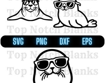 Seal Wearing Sunglasses Svg Seal Png Seal Clipart Seal Vector Bundle Pack Commercial Use