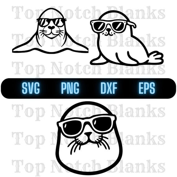 Seal Wearing Sunglasses Svg Seal Png Seal Clipart Seal Vector Bundle Pack Commercial Use