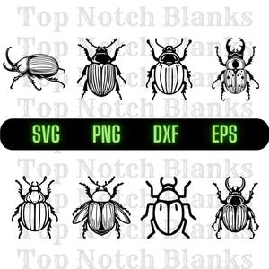 Beetle Svg Beetle Png Cool Beetle Clipart Beetle Vector Bundle Pack Commercial Use