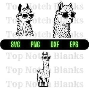 Lhama Com Óculos De Sol Svg Llama Usando Óculos Png Lhama Com Óculos Clipart Llama Vector Bundle Pack Uso Comercial
