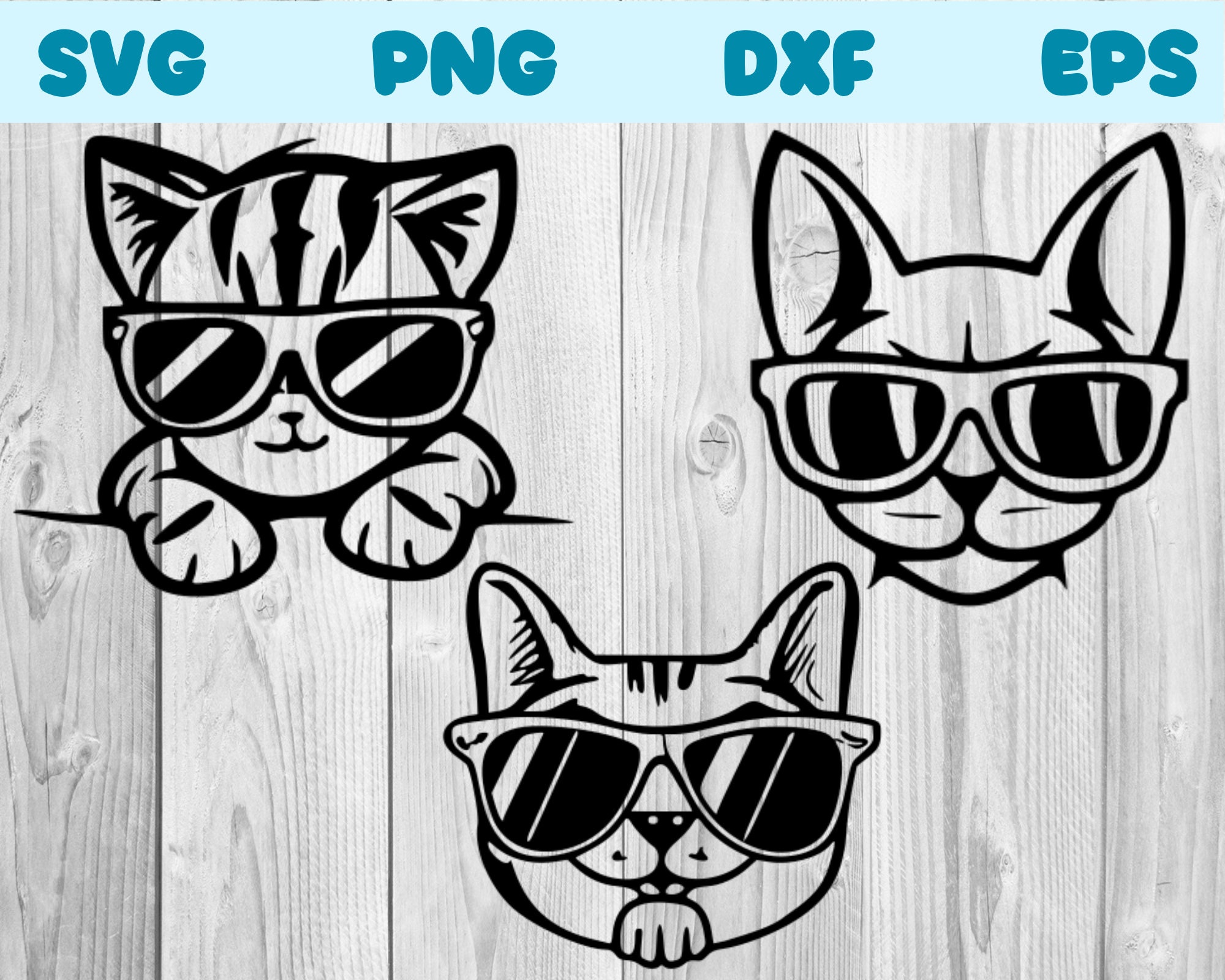 Cool cat png images | PNGEgg