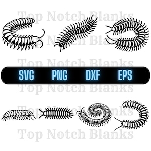 Centipede Svg Centipede Png Cool Centipede Clipart Centipede Vector Bundle Pack Commercial Use