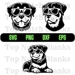 Rottweiler With Glasses Svg Rottweiler Wearing Sunglasses Png Rottweiler With Glasses Clipart Rottweiler Vector Bundle Pack Commercial Use
