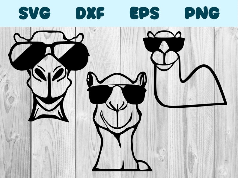 Camel With Glasses Svg Camel Wearing Sunglasses Png Camel With Etsy