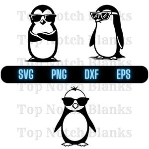 Pingüino con gafas de sol Svg Pingüino con gafas Png Gafas de sol Pingüino Clipart Pingüino Vector Paquete Paquete Uso Comercial