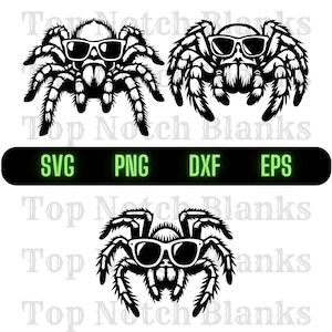 Tarantula Wearing Sunglasses Svg Tarantula Png Tarantula Wearing Sunglasses Clipart Tarantula Vector Bundle Pack Commercial Use