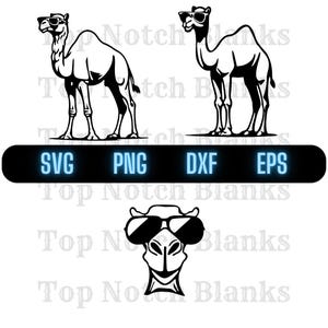 Camel With Glasses Svg Camel Wearing Sunglasses Png Camel With Glasses Clipart Camel Vector Bundle Pack Commercial Use