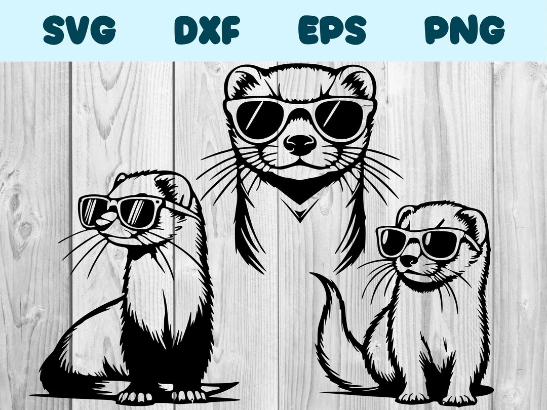 Ferret With Sunglasses Svg Ferret Wearing Glasses Png Ferret With Glasses Clipart Ferret Vector