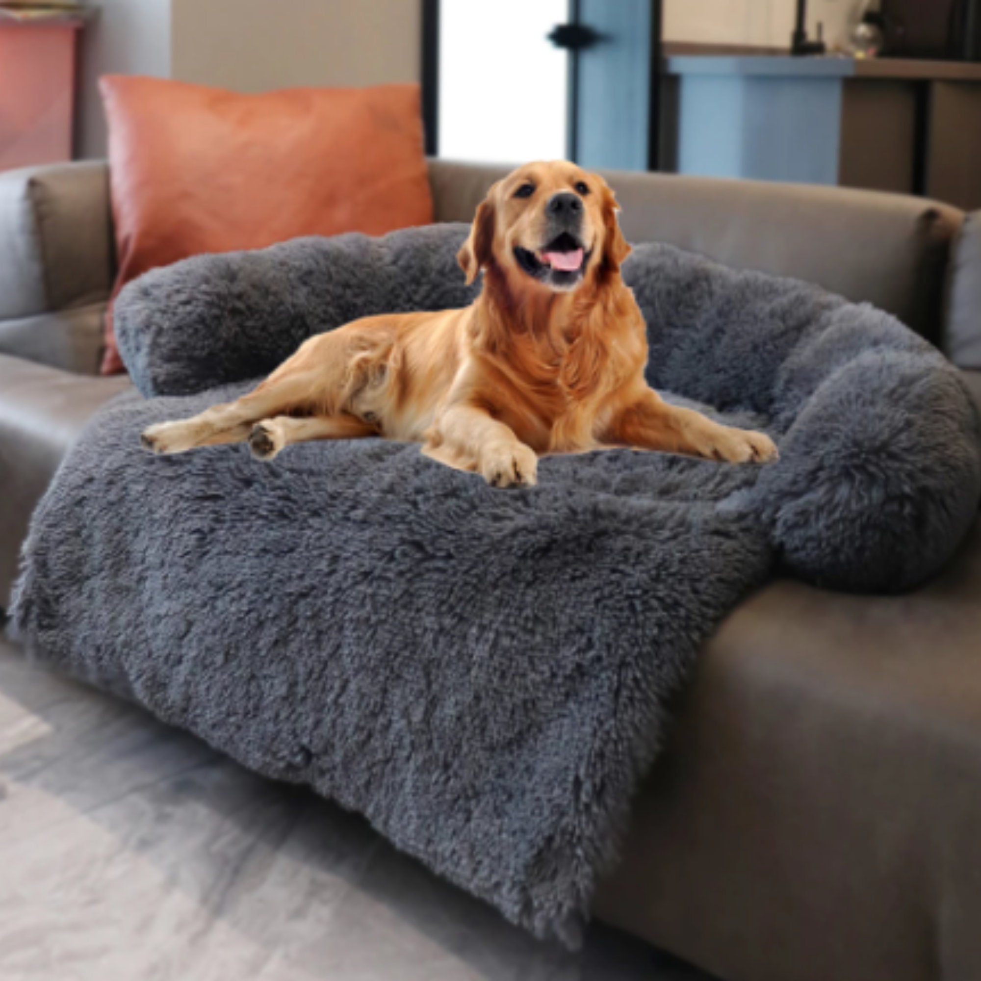a dog couch