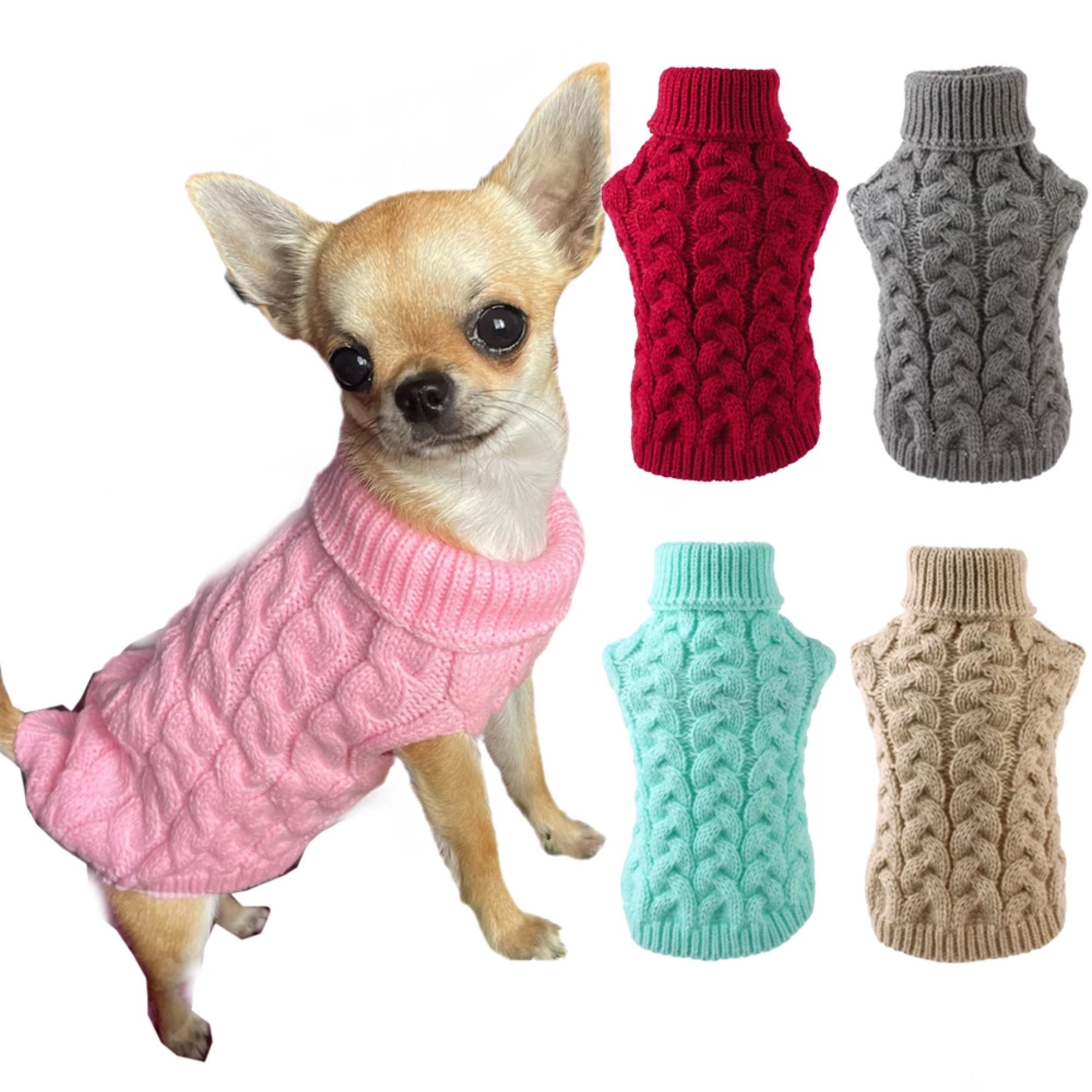Do Little Dogs Need Sweaters