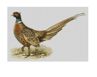 Cross Stitch Chart, Pattern, Pheasant, Game, Bird, Wild, Fowl, Field,