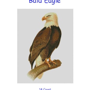 Kreuzstichvorlage, Muster, Adler, Amerikanisch, USA, Vogel, Wild, Bold, Beute