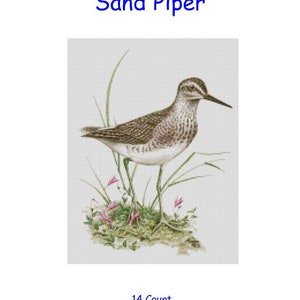 May include: Cross stitch chart pattern for a Sand Piper bird, 14 count, 150 stitches wide by 200 stitches high, approximately 10 3/4 inches by 14 1/2 inches, or 27.2 cm by 36.3 cm.