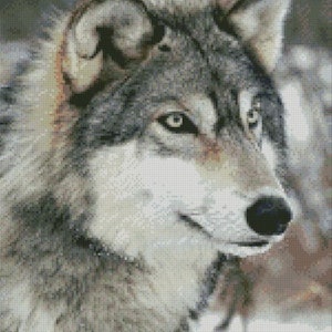 Cross Stitch Chart, Pattern, Grey Wolf - Etsy