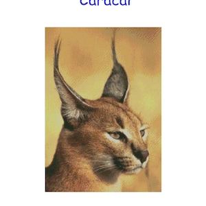 Cross Stitch Chart, Pattern, Caracal, Cat, Wild, Big, Breed, Feline