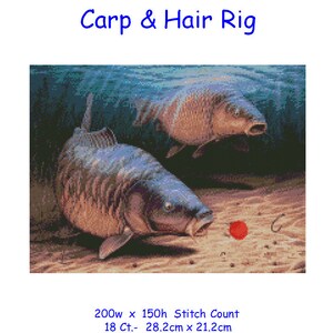 May include: Cross-stitch pattern for a carp and hair rig. The pattern features two carp swimming in the water, with one carp biting a red bait. The pattern is available in two sizes: 200 stitches wide by 150 stitches high, with a count of 18 stitches per inch, or 200 stitches wide by 150 stitches high, with a count of 14 stitches per inch.