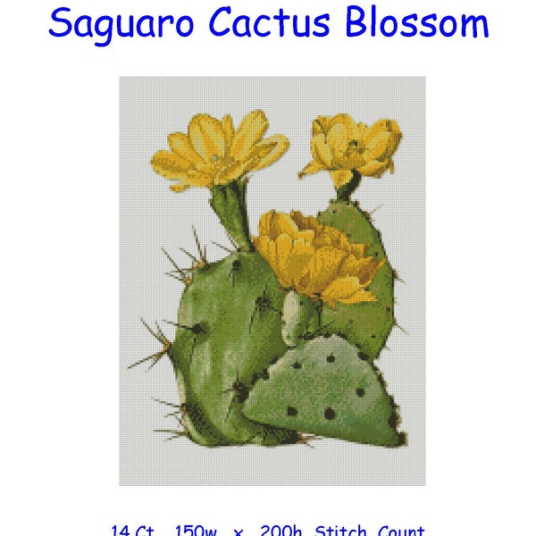 Cross Stitch Chart, Pattern, Arizona, Flower, Saguaro, State, Bloom, Cactus, Blossom