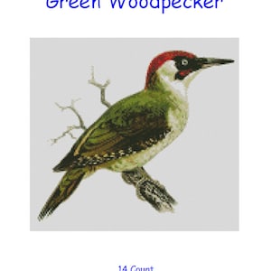 Op de afbeelding: Borduurpatroon voor kruissteek van een groene specht op een tak. Het patroon is 150 steken breed en 140 steken hoog en meet ongeveer 27,2 cm x 25,4 cm.