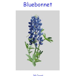 Schemat haftu krzyżykowego, wzór, Teksas, kwiat, Blue Bonnet, stan, rozkwit, rozkwit