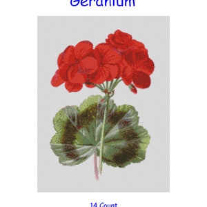 Puede incluir: Gráfico de punto de cruz para una flor de geranio roja con hojas verdes. El gráfico tiene 150 puntos de ancho por 200 puntos de alto, y mide aproximadamente 10 3/4 pulgadas por 14 1/2 pulgadas, o 27,2 cm por 36,3 cm.