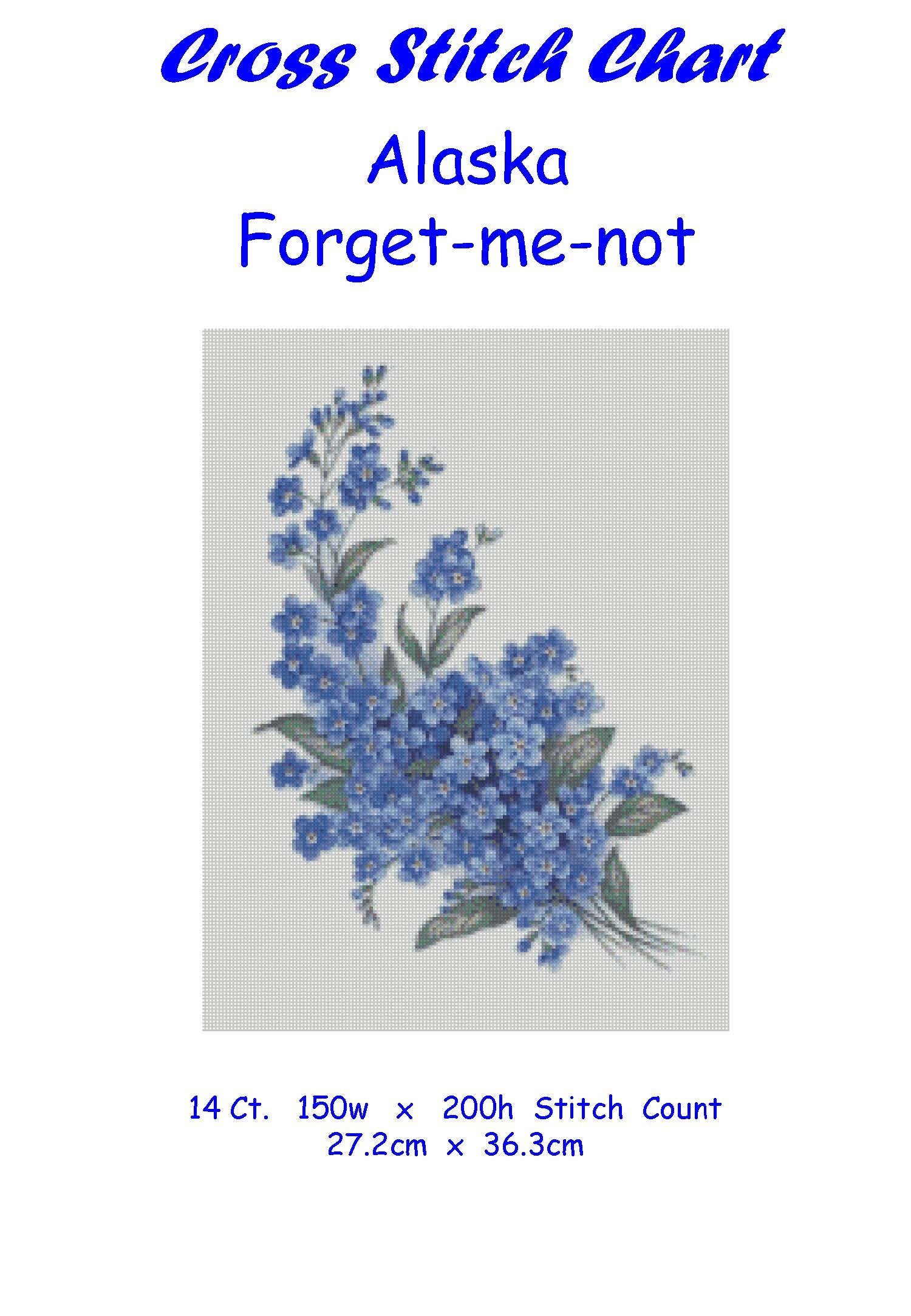 Flowers - Forget Me Not – Alaska Wild & Free