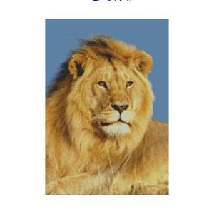 Kreuzstichvorlage, Muster, Löwe, Katze, Wild, Groß, Rasse, Feline
