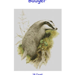 Cross Stitch Chart, Pattern, Badger, Wildlife