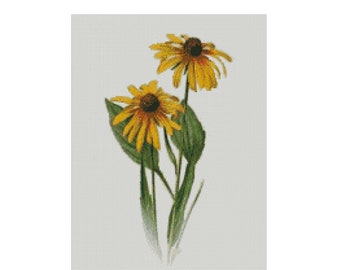 Kreuzstichvorlage, Muster, Maryland, Blume, Black Eyed Susan, Zustand, Blüte, Blüte