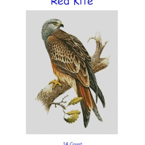 Cross Stitch Chart, Pattern, Red, Kite, Bird, Wild, Prey