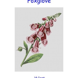 Borduurpatroon, patroon, vingerhoedskruid, tuin, rand, wild, plant, bloem, bloei