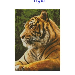 Cross Stitch Chart, Pattern, Tiger, Cat, Wild, Big, Breed, Feline, Bengal, Siberian